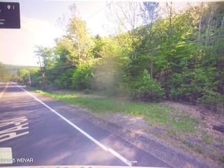 PARCEL 404 Pennsylvania 87, Montoursville, PA 17754