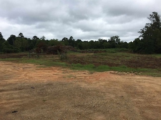 0 E Highway 80 Hwy Unit 4031995, Forest, MS 39074