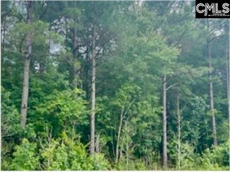 0 Silver Rd Unit 590087, Manning, SC 29102
