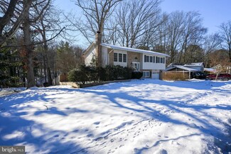 7310 Whitson Dr, Springfield, VA 22153