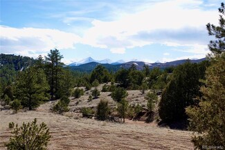 753 Duffy Loop, Cotopaxi, CO 81223