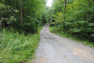 TBD Crusader Dr, Huttonsville, WV 26273