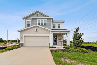 28985 Orange Berry Dr, Wesley Chapel, FL 33543