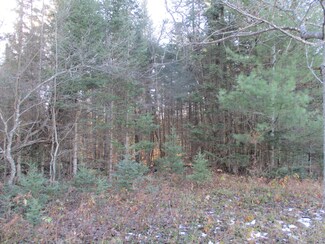 0 Trails End Unit 7AC 326628, Frederic, MI 49733