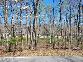 131 Ivy Brook Ln, Crossville, TN 38558