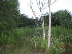 0 Daniels Rd Unit R1649745, Plymouth, NY 13844