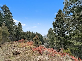 TBD Bunks Trail, Ennis, MT 59729