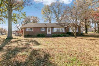 566 E Main St, Alamo, TN 38001