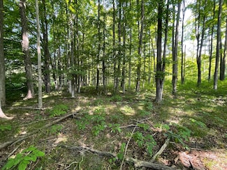 17+Acres Marsh Rd, Kingsley, MI 49649