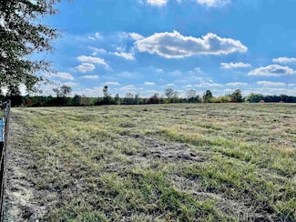 TBD County Road 121, Gary City, TX 75643