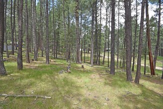Lots 2 & 3 Hidden Valley Rd, Jemez Springs, NM 87025