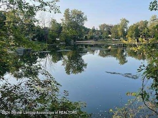 3949 Sage Ln, Dewitt, MI 48820