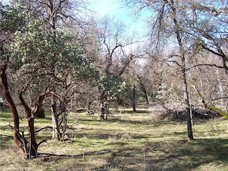 1 Jean Rd W, Oakhurst, CA 93644