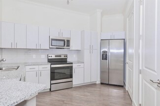 2920 El Dorado Blvd Unit 342B, Friendswood, TX 77546