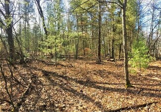 000 Bryan Dr, Mio, MI 48647