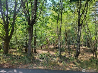 900 930 E Wilson Way, Grapeview, WA 98546