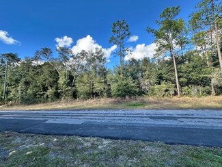 1621 W Alexander Dr, Citrus Springs, FL 34434