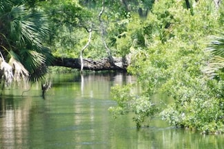 6010 Ira L Smith Rd, Greenville, FL 32331