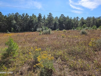 00 Delaware Rd, Defuniak Springs, FL 32433