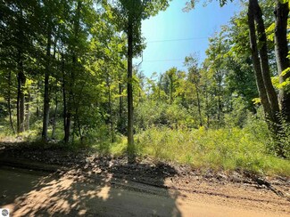 17+Acres Marsh Rd, Kingsley, MI 49649