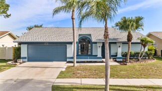 8638 Chadwick Dr, Tampa, FL 33635
