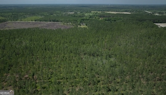 64.65 AC Bay Branch Church Rd, Claxton, GA 30417