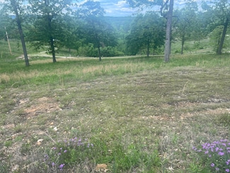 000 Farm Road 2250, Golden, MO 65658