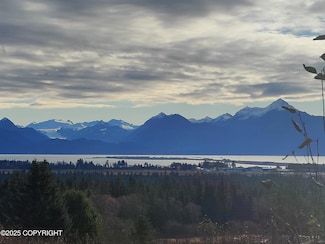 4550 Craftsman Rd, Homer, AK 99603