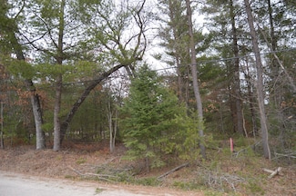 Lot #28 E Arthur Randall, Mio, MI 48647