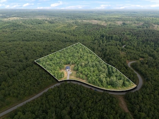 1635 Bear Hollow Dr, Waverly, TN 37185