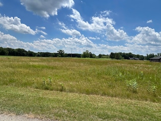 649 Blackberry Dr Unit Lot 1, Coldwater, MI 49036