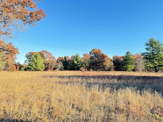 10.01AC Barberry Ave, Brooks Township, MI 49337