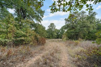 Lot 9 Double B Rd S, Perrin, TX 76486