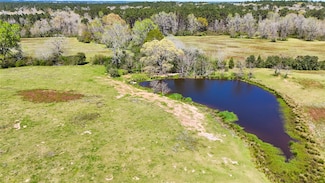 TBD County Road 2780, Woodville, TX 75979