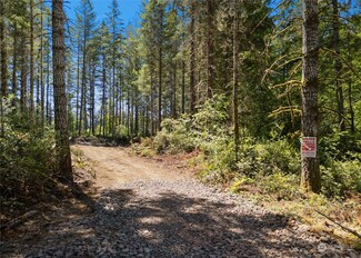 19416 124th St NW, Gig Harbor, WA 98329