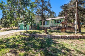 11876 Navajo Trail, Conifer, CO 80433