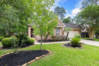 22 Red Adler Place, Spring, TX 77382