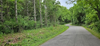 0 Major Grahams Rd, Max Meadows, VA 24360