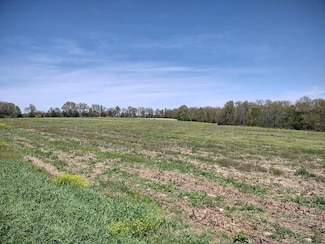 Tbd Wiseman Rd Unit Tract 7, Marshfield, MO 65706