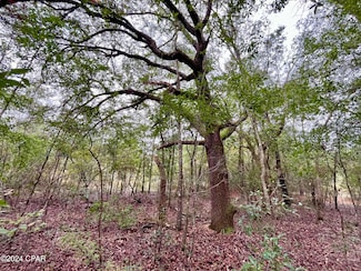 Lot 12 Janet Cir, Chipley, FL 32428