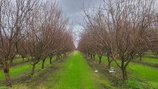 8603 S Mccall Ave, Selma, CA 93662