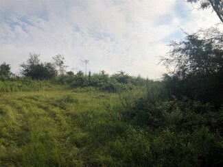 001 Ringgold Rd, Forest, MS 39074