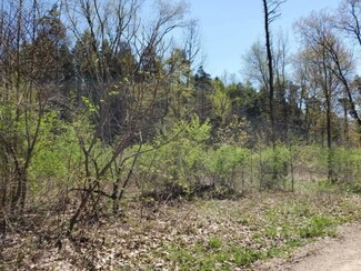 0 Parcel F Coyote Trail, Edwardsburg, MI 49112
