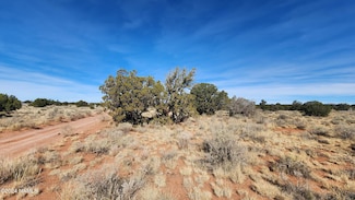 2091&2119 S Mountain View Rd, Williams, AZ 86046