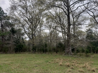 000D John C Martin Rd, Clayton, AL 36016