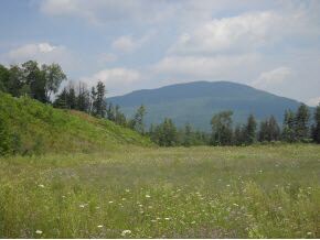J Bonnet St, Manchester, VT 05255