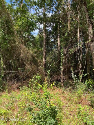 0 Hwy 57 Unit 4023027, Vancleave, MS 39565