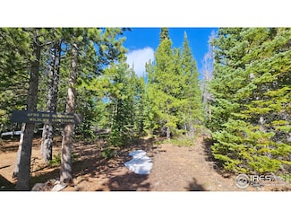 0 Forest Service 169 Rd Unit Tract 7 1034883, Red Feather Lakes, CO 80545
