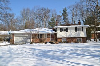 38519 Berkeley Ave, Chagrin Falls, OH 44022