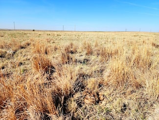 Tbd County Road 83, Potter, NE 69156